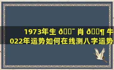 1973年生 🐯 肖 🐶 牛2022年运势如何在线测八字运势详批可靠吗